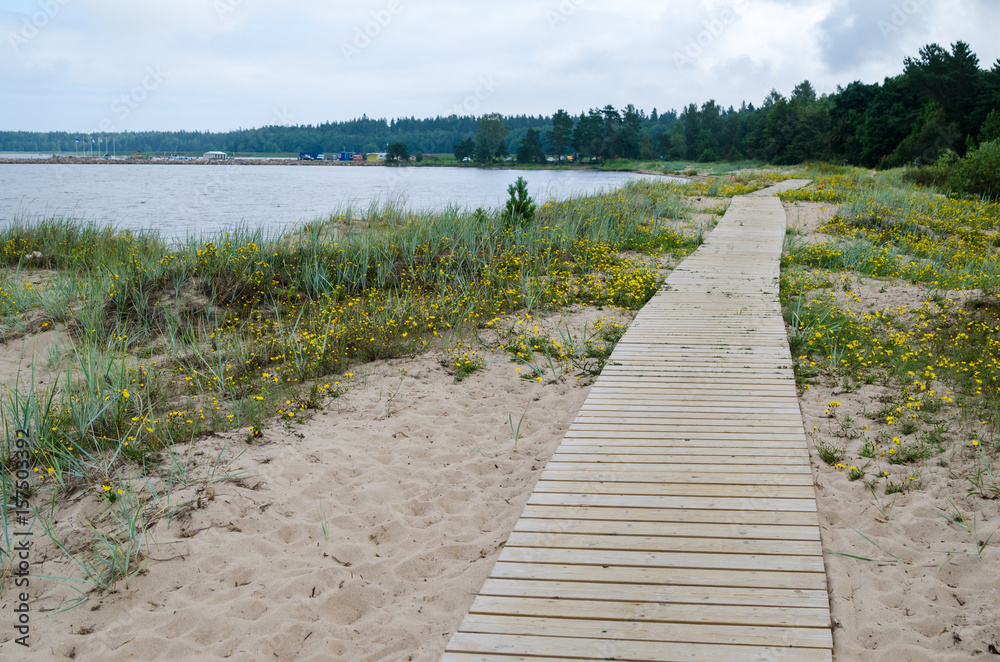 Wooden path along the sandy shore of the Baltic Sea