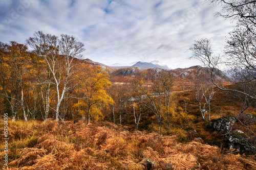 Bare winter trees beside the river Gruinard with An Teallach in the distance. Scottish Highlands, Scotland, UK.