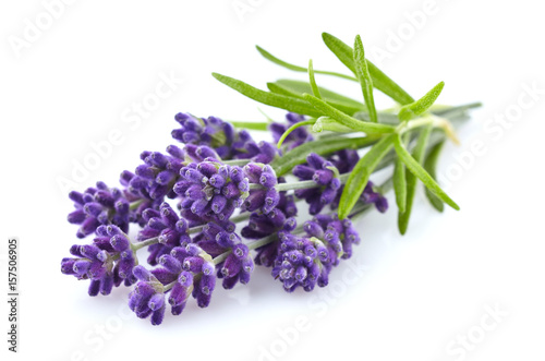 Lavender with leaves