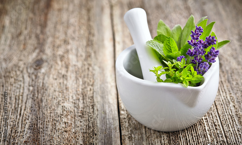 Medicine fresh herbs with white mortar