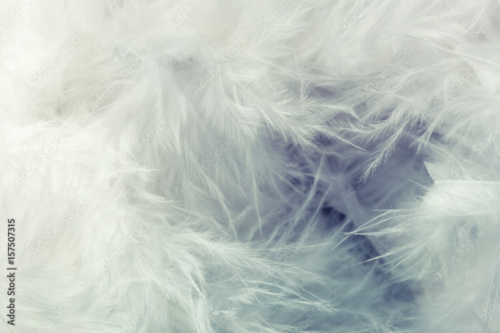 Abstract feathers