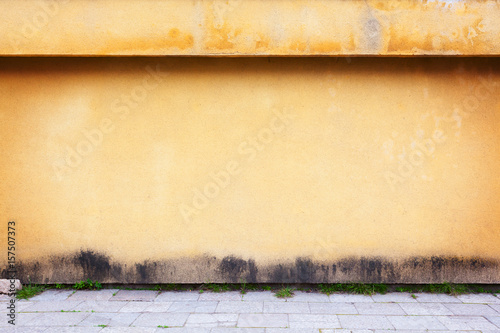 Obraz na płótnie A wall w salonie
