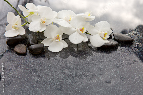 Canvas Print Spa stones and white orchid on gray background.