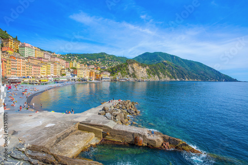 Panoramic view of city of Camogli   Genoa Province  Liguria  Mediterranean coast  Italy