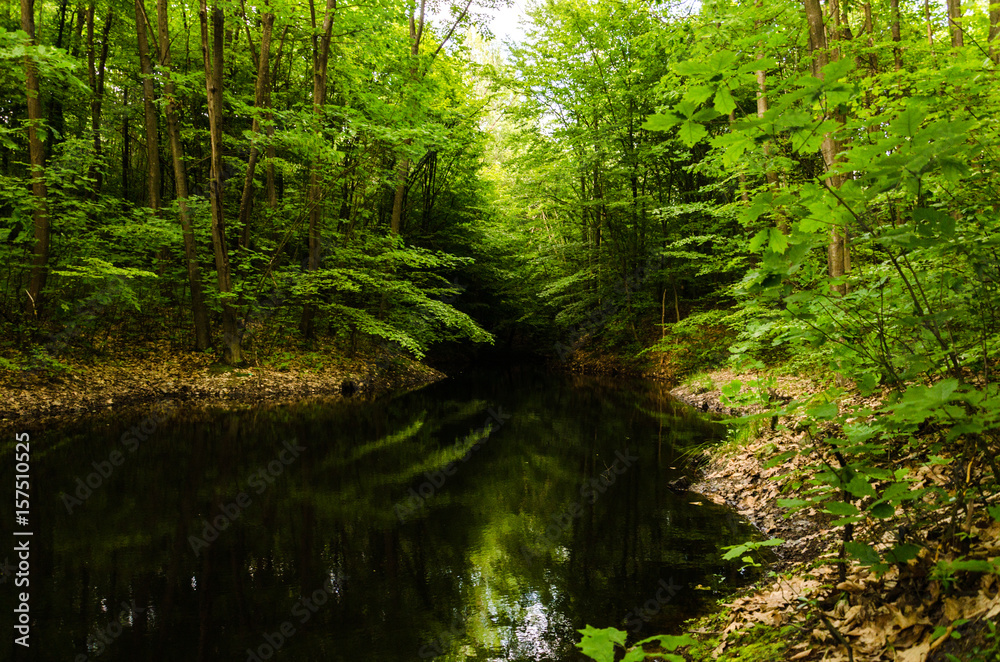 Very beautiful summer landscape. Mountain Lake. A small lost lake in a mountain forest.