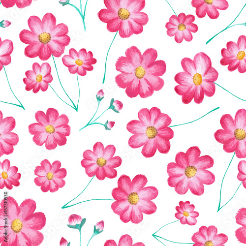 Vector seamless floral pattern with cosmos flowers (pink asters). Watercolor painting, stylish vector illustration with blooming plants isolated on white. Design element for prints, decor, fabric