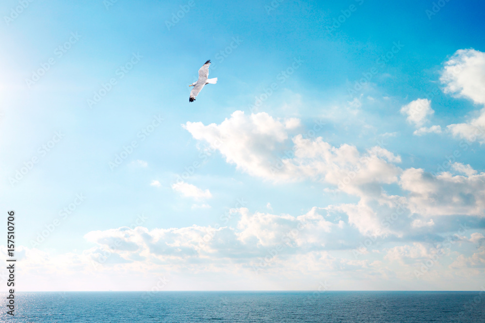 Summer background with a flying seagull on the background of the sea and a blue sky with clouds. Summer sea light artistic image for vacation. Summer background with a flying seagull on the background of the sea and a blue sky with clouds. Summer sea light artistic image for vacation.