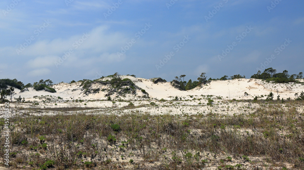 Remnants of a boardwalk  on a mature sand dune