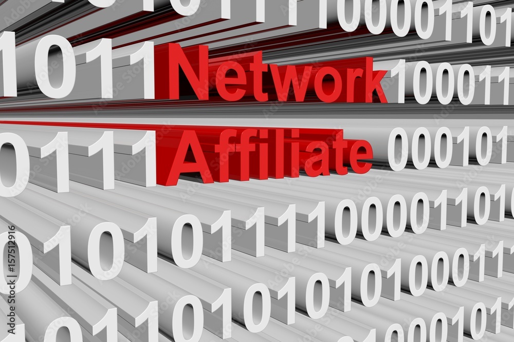Network affiliate in a binary code 3D illustration