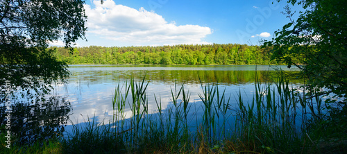 Stiller kleiner See umgeben von Wald und Schilf