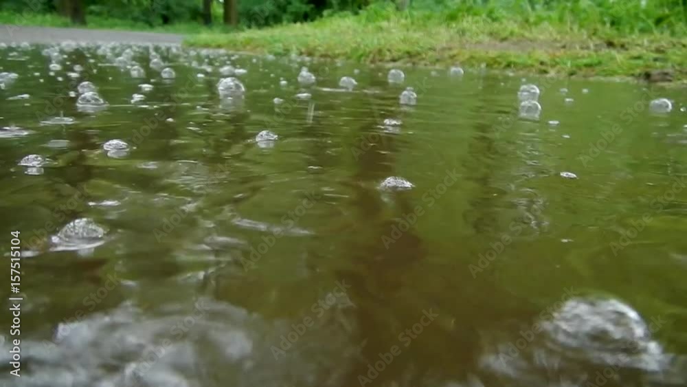 Rain. Bubbles in the puddle. Water bubbles. Puddle of water. Rain drops Rain. Bubbles in the puddle. Water bubbles. Puddle of water. Rain drops