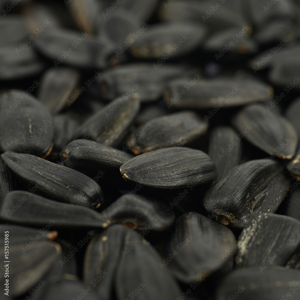 Surface coated with the sunflower seeds Surface coated with the sunflower seeds
