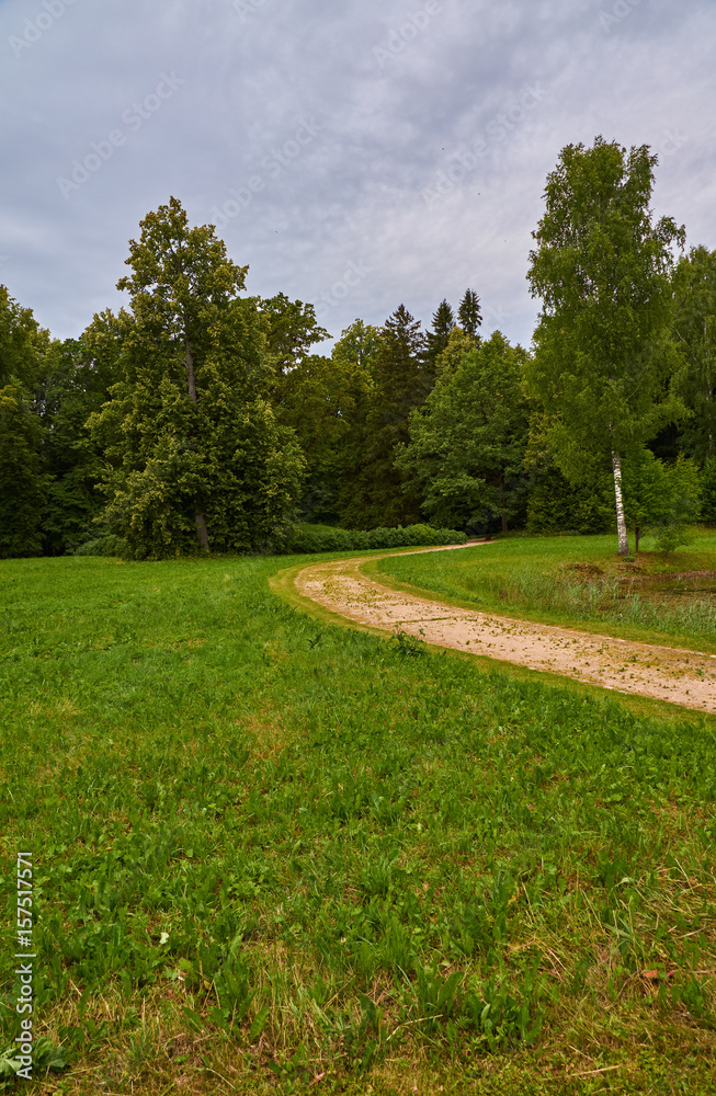 Path to the forest/Summer, a dirt road near the meadow leaves in a pine forest. Russia, Pskov region, landscape, nature.