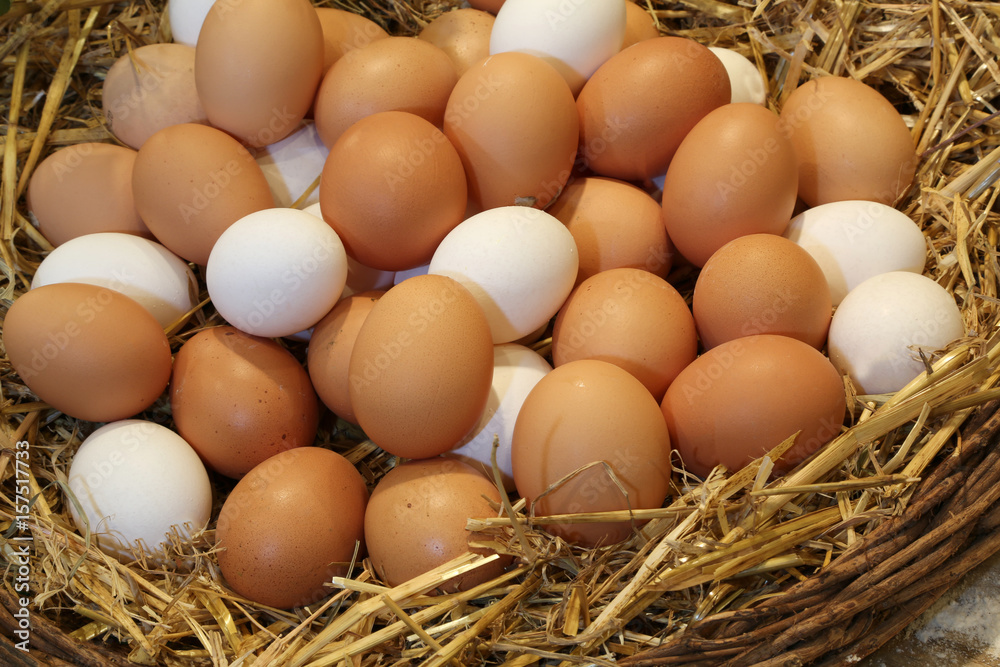 Basket with fresh hen eggs in the farm of organic produce