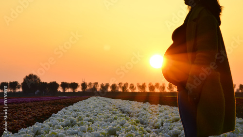 The stunning silhouette of a pregnant woman standing in a field of flowers as rays of sunshine illuminate her bump.