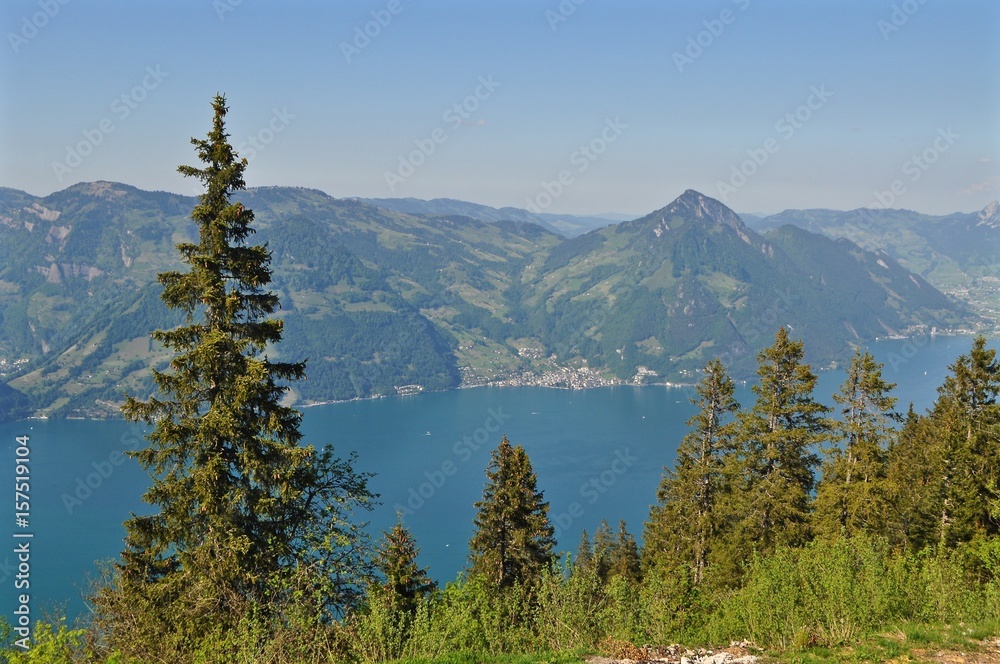Blick über den Wald / Tannen auf den See / Vierwaldstättersee und die Berge Rigi und Wildspitz in der Zentralschweiz, Kanton Nidwalden