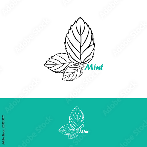 Mint logo design vector template