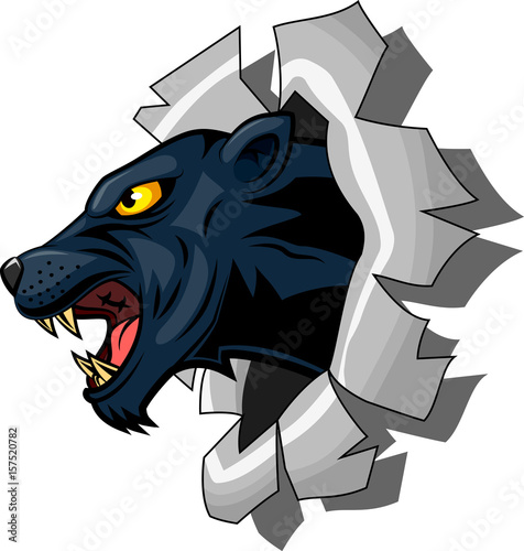 Fototapeta Naklejka Na Ścianę i Meble -  Panther ripping through background. Vector illustration