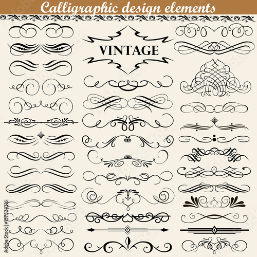 illustration set of vintage calligraphic design elements photo