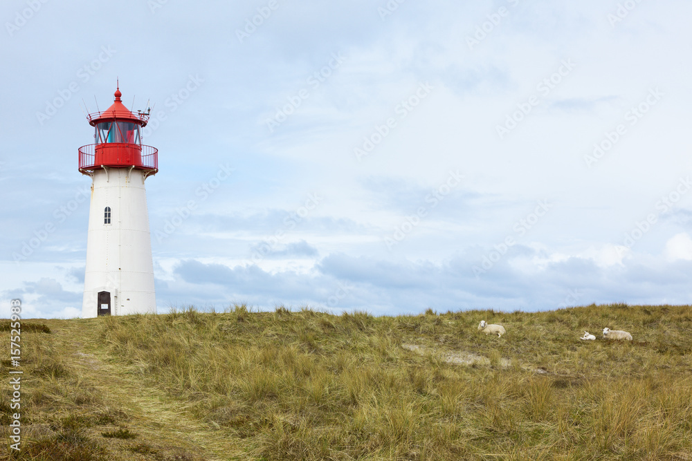 List-West Lighthouse, Sylt, and sheep in the dunes
