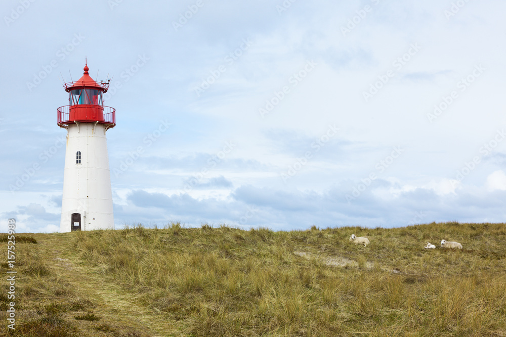 List-West Lighthouse, Sylt, and sheep in the dunes List-West Lighthouse, Sylt, and sheep in the dunes