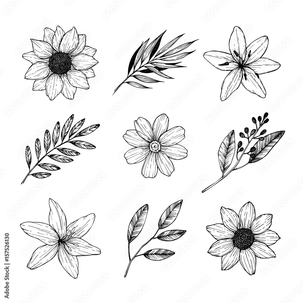 90 Flower Leave Procreate Brushes | LineWork Style for Floral Tattoo  Compositions – Alaskan Ink Studio