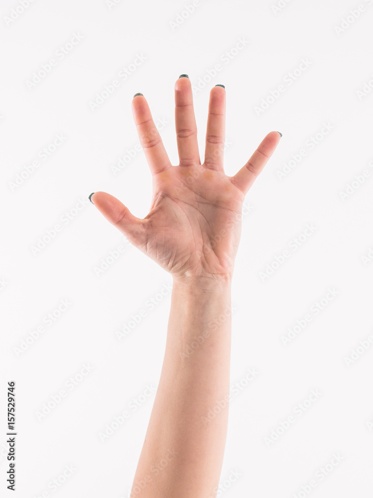 Woman hand showing the five fingers isolated Woman hand showing the five fingers isolated