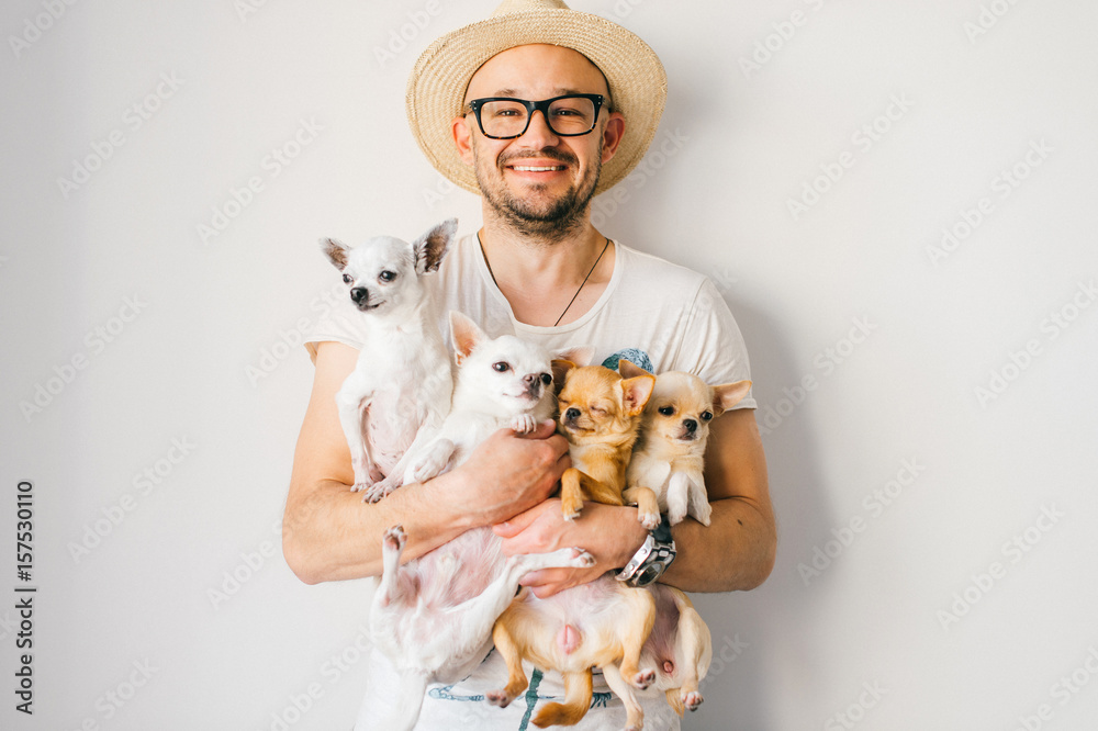 Φωτογραφία Young happy european smiling and laughing bearded hipster man in straw hat and glasses holding in hands four chihuahua puppies dogs with funny faces and emotions and looking in different directions