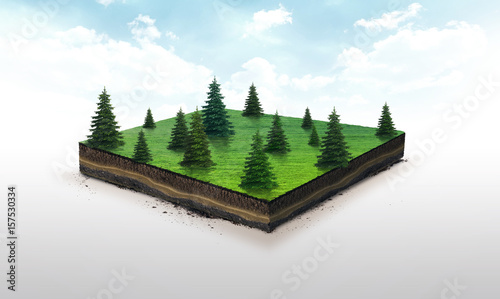 3d illustration of a soil slice, green meadow with spruces isolated white background