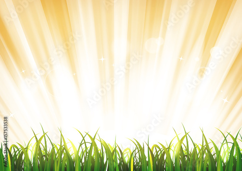 Summer Sunshine Background With Grass Leaves