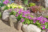 Flowerbed with spring flowers