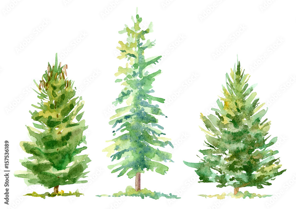 Spruce border.Coniferous forest.Watercolor hand drawn illustration.White background.