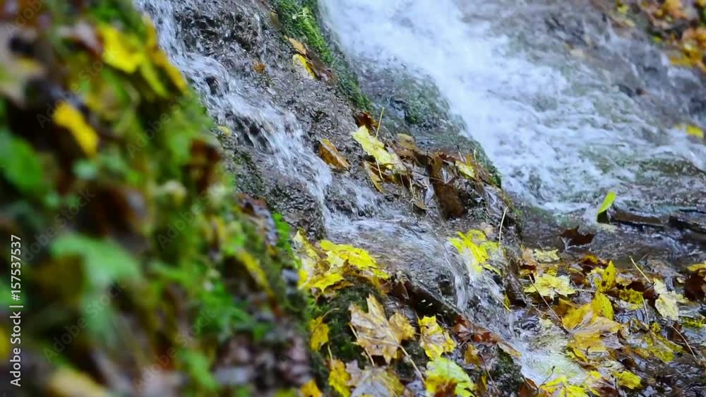Rusyliv Falls, waterfalls cascade on a small stream (tributary of Stripa); natural monument of local importance.Southeast of the village Rusylova, Buchach district, Ternopil region, Ukraine. Rusyliv Falls, waterfalls cascade on a small stream (tributary of Stripa); natural monument of local importance.Southeast of the village Rusylova, Buchach district, Ternopil region, Ukraine.