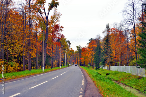 Highway in the park at autumn.