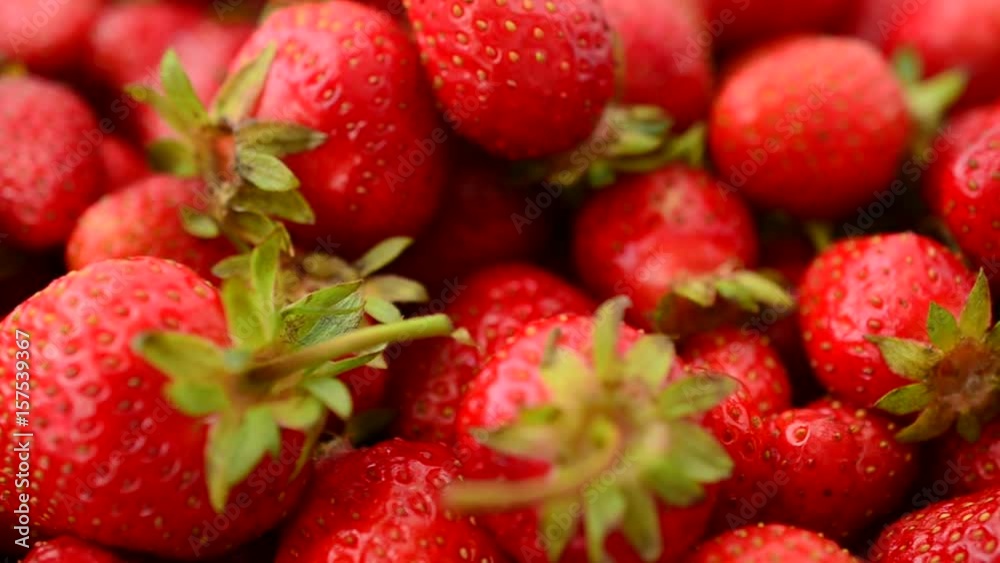 Strawberry in the summer. Strawberry in the summer.