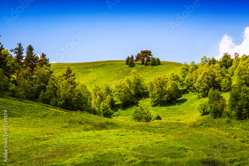 Incredible landscape with green lawns.