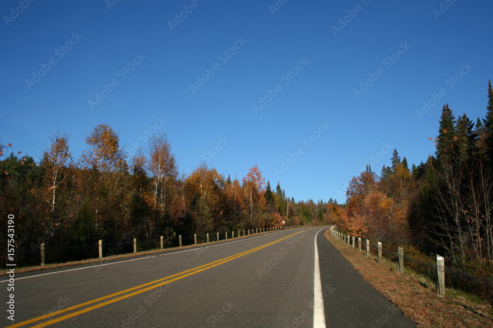 Autumn road in national park Autumn road in national park