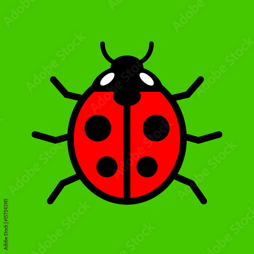 Ladybird vector icon on green background © Anthonycz