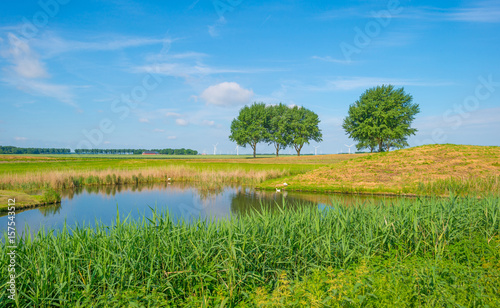 Canal through the countryside in spring 