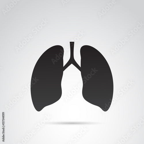 Lungs vector icon. photo