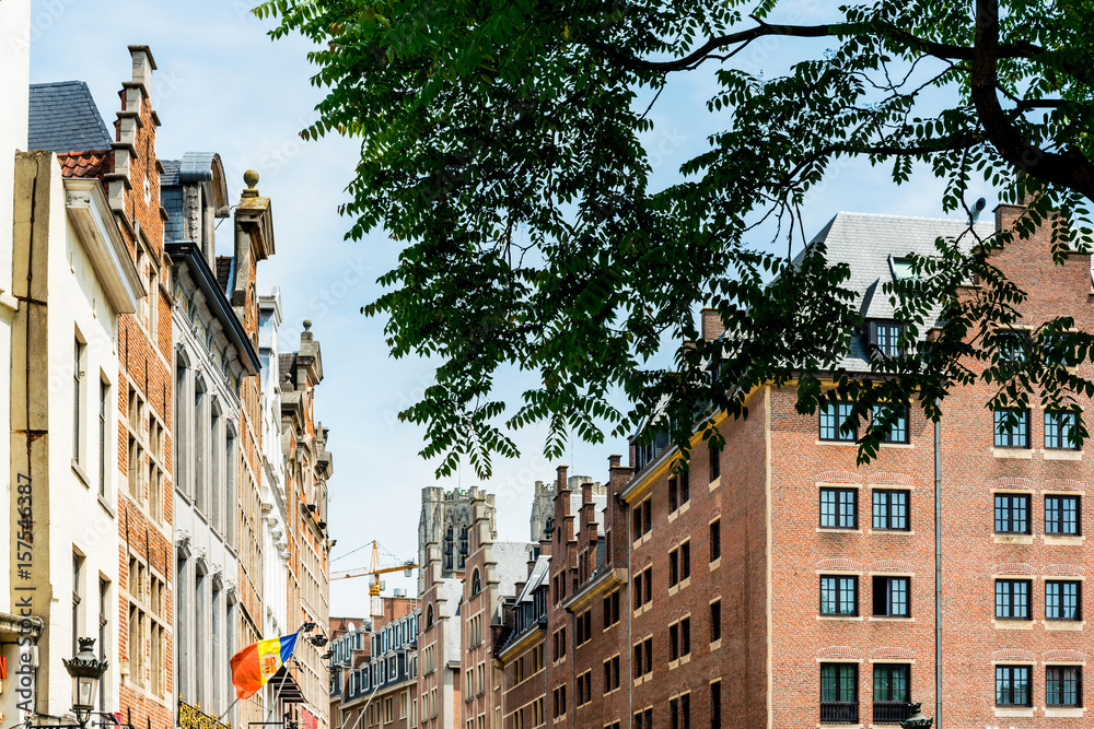 Fototapeta premium antique city building in Brussels
