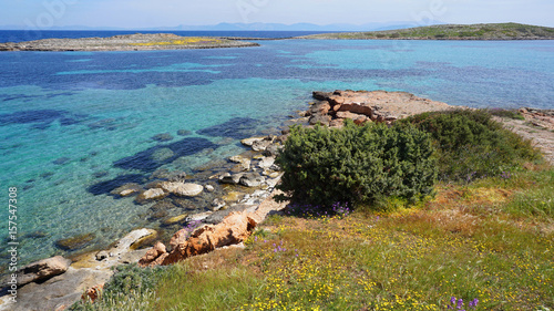 Spring photo of Hamolia area in Porto Rafti, Mesogeia, Attica, Greece photo