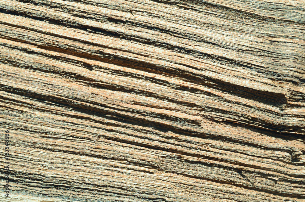 Fototapeta premium Texture wood board background