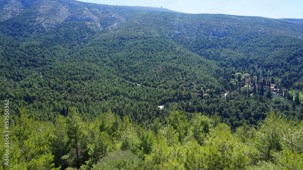 Obraz premium Photo of Kessariani area in Hymetus mountain, Attica, Greece