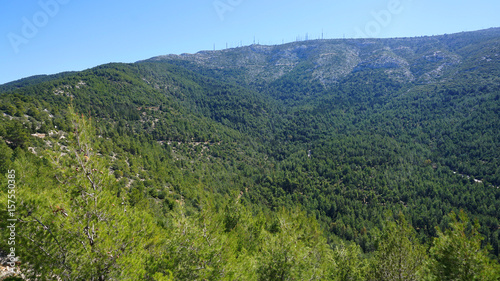 Fototapeta Naklejka Na Ścianę i Meble -  Photo of Kessariani area in Hymetus mountain, Attica, Greece