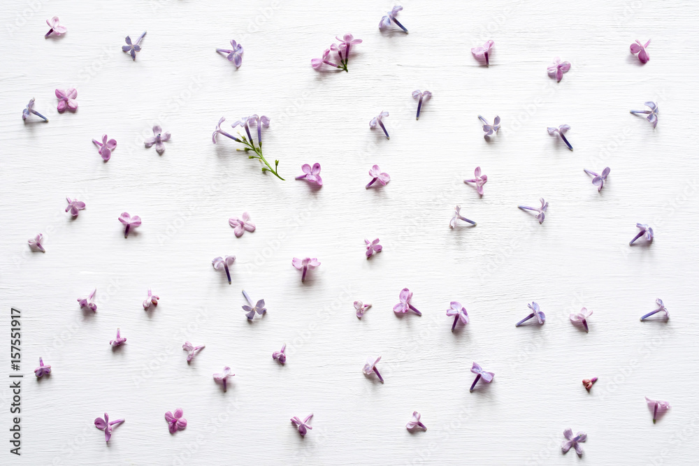 Lilac flowers on a white wooden background, top view. Flower gentle background