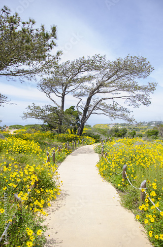 Point Loma Path