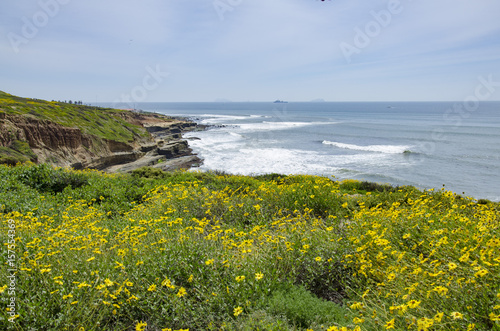 Point Loma Coast