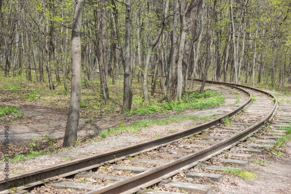 railroad at the forest