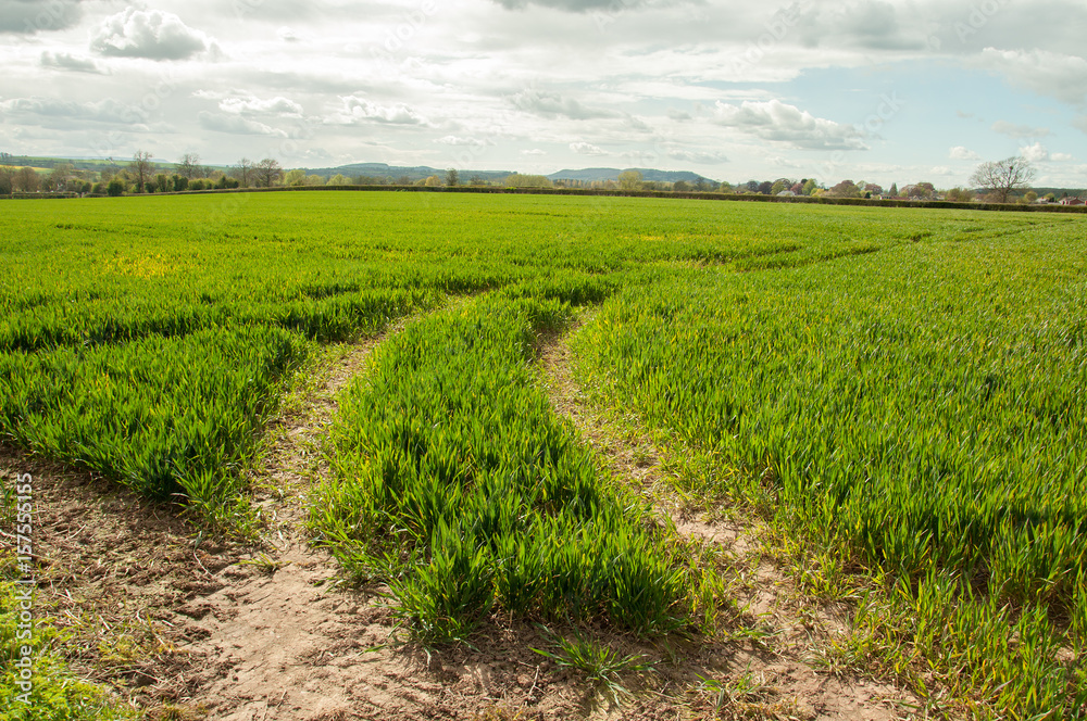 Tractor tracks in the countryside.